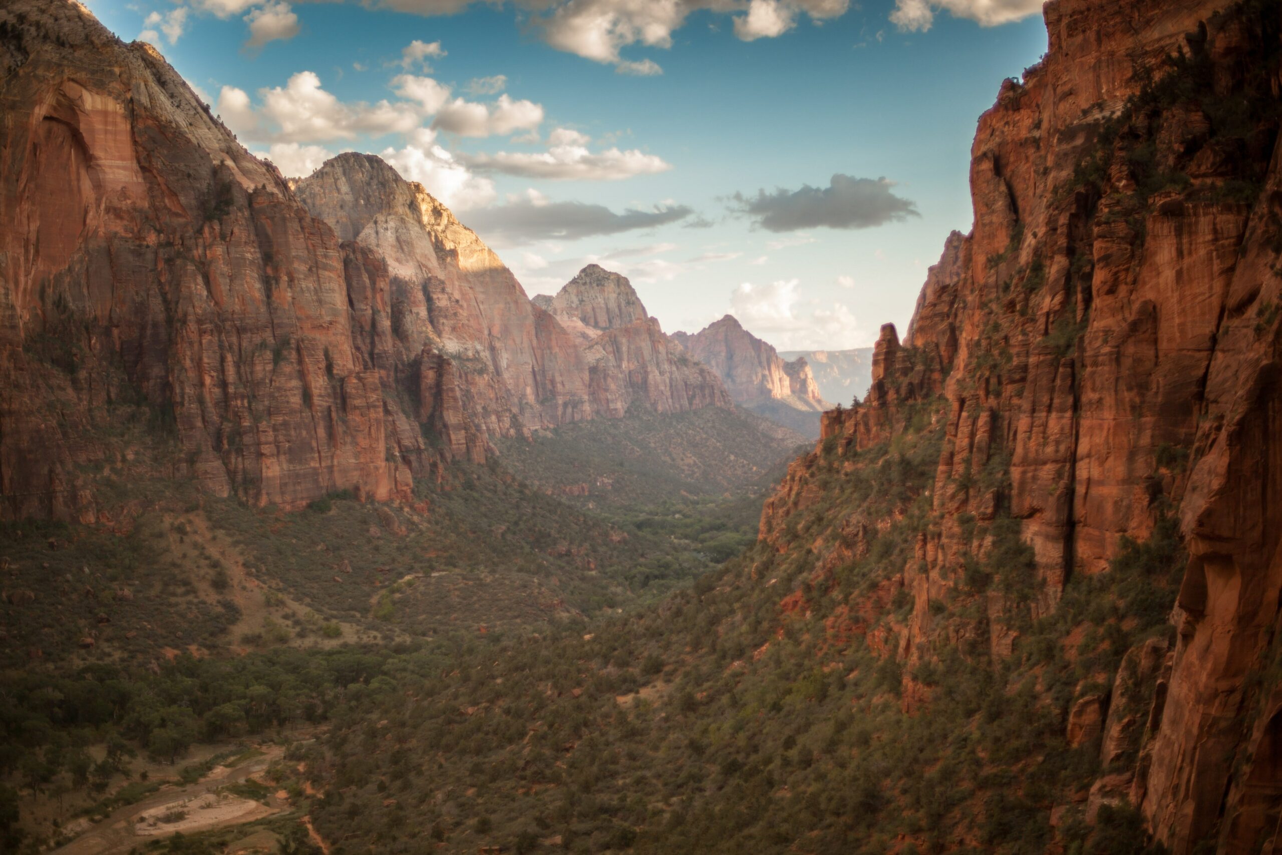 Featured image for “Our Favorite Hikes in Zion National Park”