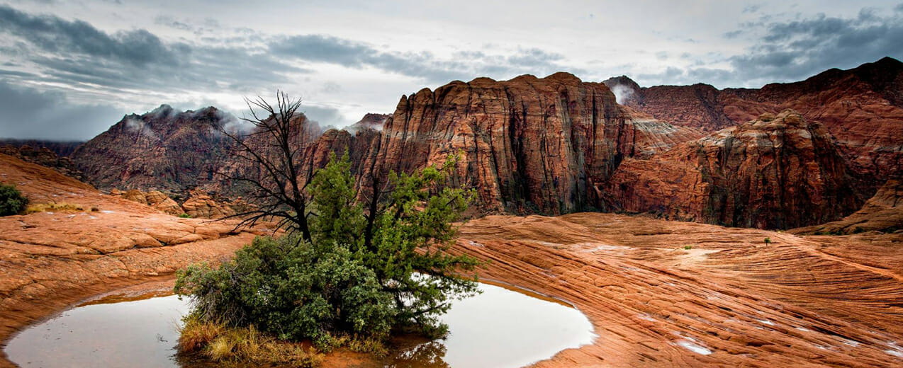 Winter Activities In Southern Utah Atv Offroad Adventures