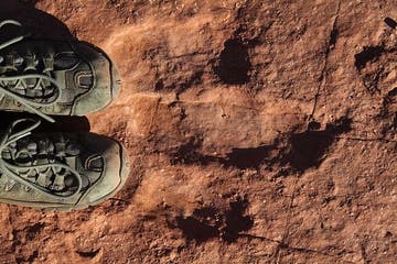 Featured image for “Two Dinosaur Sites in Southern Utah Your Family Will Love”